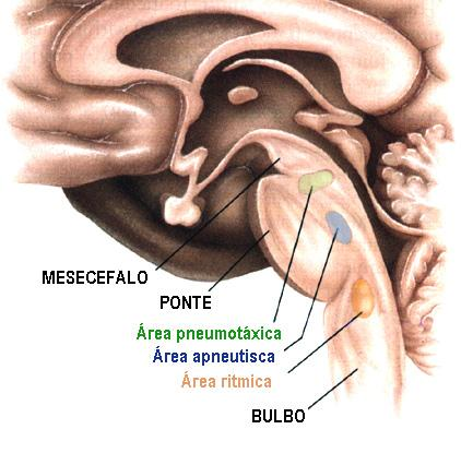 integrativas