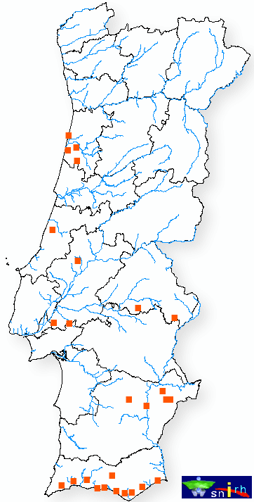 Fig. 9 Evolução da percentagem de armazenamento nas principais bacias hidrográficas desde Outubro de 2004.
