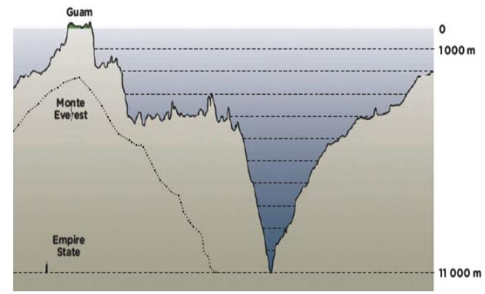 Figura 3. Comparação entre a Fossa das Marianas e o Monte Everest. Fonte: <http://mundoestranho.abril.com.br/materia/qual-a-maior-fossa-maritima-do-mundo> 3.1 Procedimento 1.
