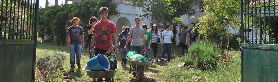 Conclusões e continuidade do projecto Replicar o aterra» rede demonstrativa de processos Procurar a sustentabilidade para um processo de longo-prazo (produtores escolas) Continuar a promover o