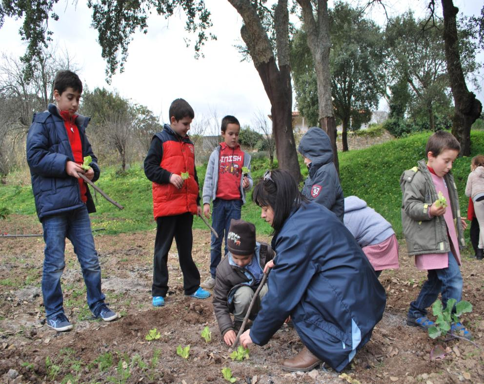 O projecto aterra Valores Solidariedade, inclusão social e combate à pobreza Participação cívica, conhecimento e reflexão crítica