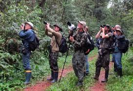 Dimensão da procura e mercados emissores 100 milhões de observadores de aves no mundo; Nos EUA, 48 milhões de observadores de aves, com mais de 16 anos (21% da população); No Reino Unido, 2,4 milhões