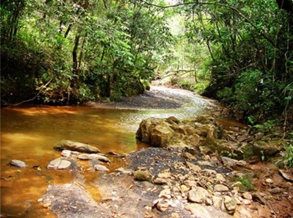 Meio Ambiente e os