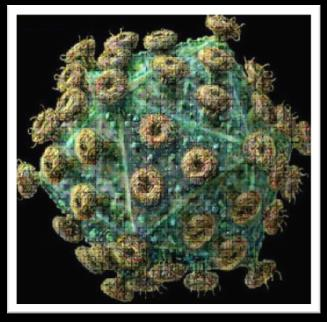 RNA Multiplicam-se dentro da célula hospedeira utilizando a