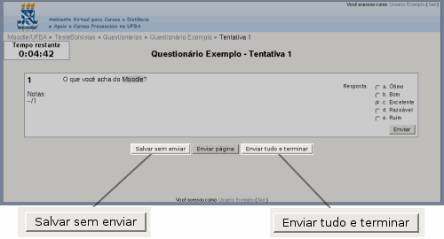 Figura 24: Exemplo de questionário.