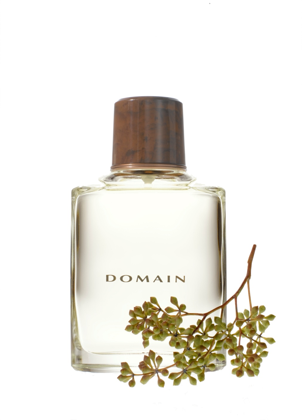 Fragrâncias Mary Kay Domain Cologne Fresh Fougere (fu-gér) Notas de Topo: casa de lima, grapefruit branca, sálvia do deserto, tangerina, uvas vermelhas, lavanda.