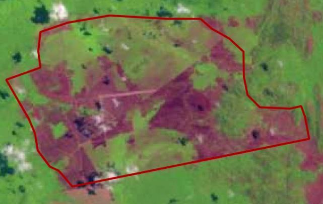 Figura 5. Imagens Landsat-5 no ano de 2006 (imagem após a data de autuação) e Landsat-8 de 2014. Das 30 amostras de embargos selecionados, em nenhum caso verificou-se o cumprimento do embargo.