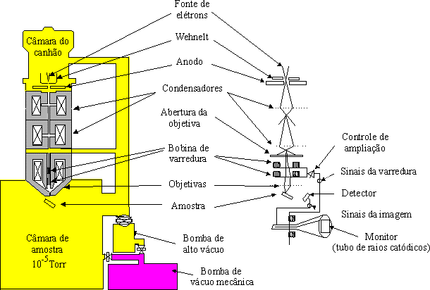 62 Figura 16 - Diagrama representativo de funcionamento do microscópio eletrônico de varredura convencional. (Fonte: http://www.biomaterial.com.