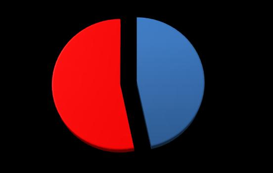 PERFIL DO TURISTA GÊNERO Gênero Mulher 53 Homem 47 70% 60% 51% 61% 63% 61% 53%