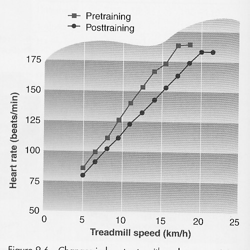 EFEITOS DO TREINAMENTO SOBRE O APARELHO CÁRDIO-RESPIRATÓRIO Freqüência