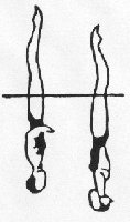 Nível da água entre os joelhos e os tornozelos. 6 Posição Vertical Corpo em extensão, perpendicular à superfície da água, membros inferiores juntos.