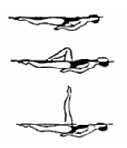 APÊNDICE III MOVIMENTOS BÁSICOS 1 Execução de uma Perna de Ballet Partir da Posição Básica Dorsal. Um membro inferior mantém-se à superfície durante toda a execução.