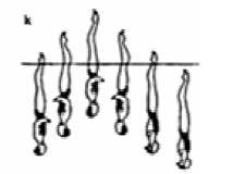 k) Contra Espira Combinada: é executada uma Espira Ascendente de pelo menos 360º seguida, sem pausa, seguida de uma Espira Descendente igual, na mesma direcção.