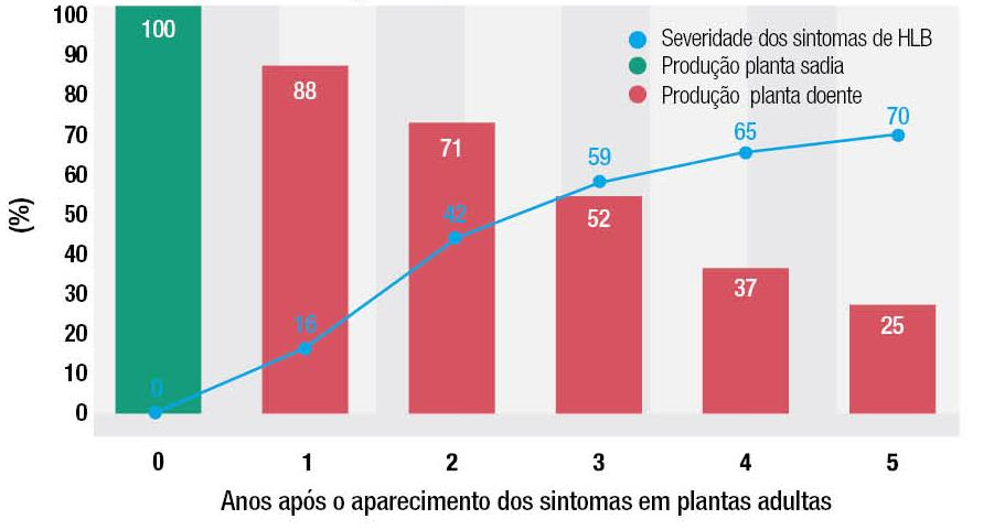 Produção da árvore