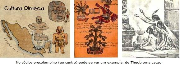 HISTÓRICO O cacau Originário da América; Seu cultivo começou na América