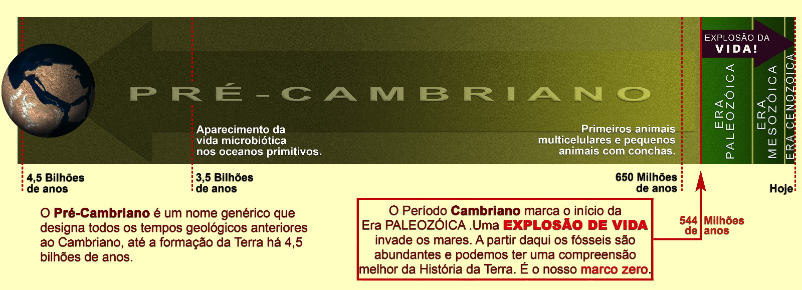 Uma explosão de vida + ANTIGO + RECENTE A faixa em degradée verde sintetiza o Tempo Geológico, desde a formação da Terra há 4,5 bilhões de anos até hoje.