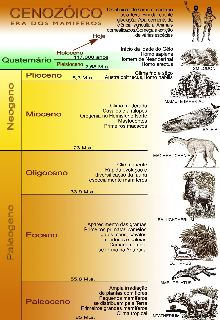 Tudo isto aconteceu no Paleozóico. Os dinossauros, entretanto, ainda não haviam evoluído, só viriam a aparecer muito tempo depois.