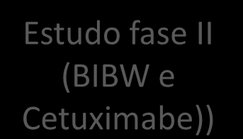 Adicionar CETUXIMABE Estudo fase II (BIBW e