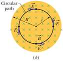 E aponta no mesmo senpdo de i (PDC + -) As linhasde campo E produzidas pelo campo variável descreverão círculos concêntricos(fig. c).