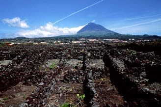 PAISAGEM DA CULTURA DA VINHA DA ILHA DO PICO WINE-GROWING LANDSCAPE OF PICO ISLAND-AZORES 100000