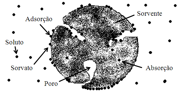 31 2.3 ADSORÇÃO De acordo com Dabrowski (2001), a adsorção é um método de separação onde ocorre um fenômeno de superfície, caracterizado pelo aumento da concentração de um determinado componente na