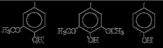 Fonte: o autor (a) (b) guaiacil siringil (c) p-hidroxifenil (d) Figura 17.