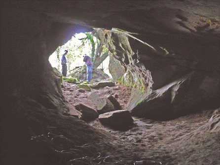 Caverna em Boqueirão do Leão (RS) é identificada como paleotoca Prof. Dr.