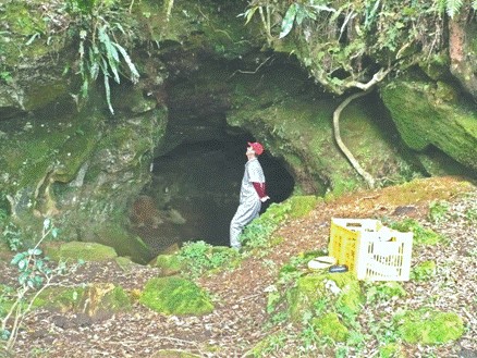 Os primeiros 10 metros do túnel sofreram escavações antropogênicas e estão muito descaracterizados. Ali o túnel possui mais de 2 metros de altura e 3 metros de largura.