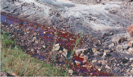 Nos ambientes naturais, a alcalinidade e a acidez do sistema são controladas pelo sistema tampão carbonato-bicarbonato. Os sistemas aquáticos normalmente enquadram-se no intervalo de ph típico de 6-9.