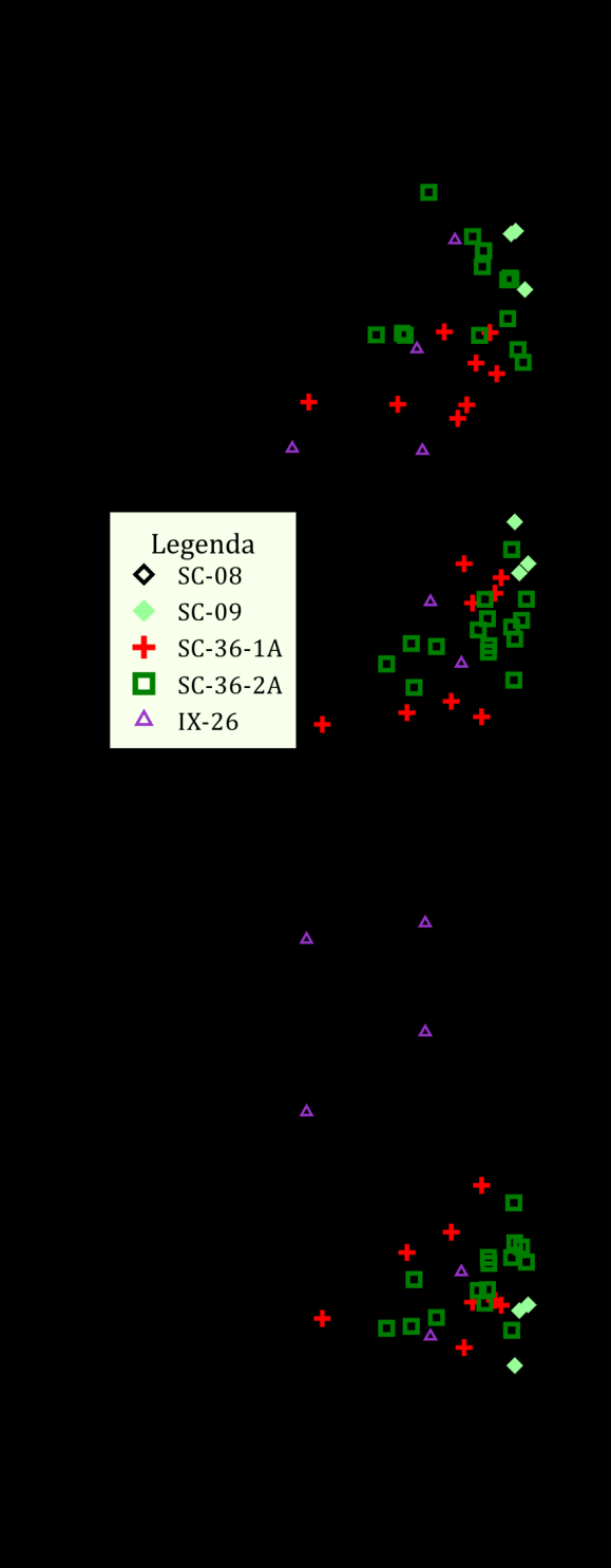 Amostra SC-36(1) SC-36(2) (matriz) SC-36(2) (inclusão) 68 SC-08 SC-09 CAR-IX-26 (inclusão) CAR-IX-26 (retro) Figura 7-2: Diagramas binários Fe 2+, Mg e Mn vs.