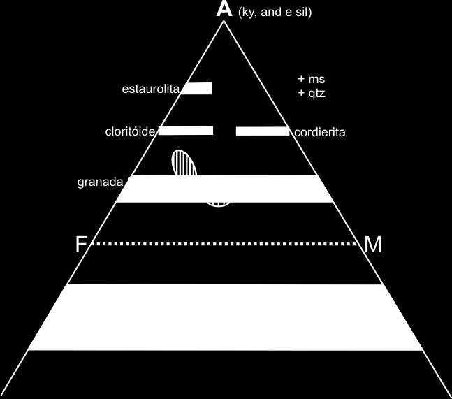COMPOSIÇÕES E PARAGÊNESES DAS ROCHAS NO DIAGRAMA AFM As composições químicas das amostras foram projetadas no diagrama AFM de (Thompson, 1957) - figura 8-2, a partir da composição da muscovita, para