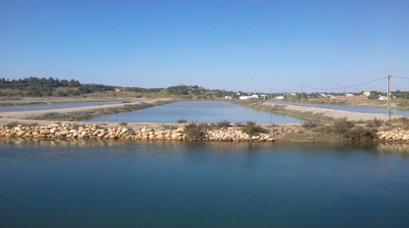 Aquacultura em Esteiro APA A aquacultura em Esteiro resulta do aproveitamento de antigas salinas.