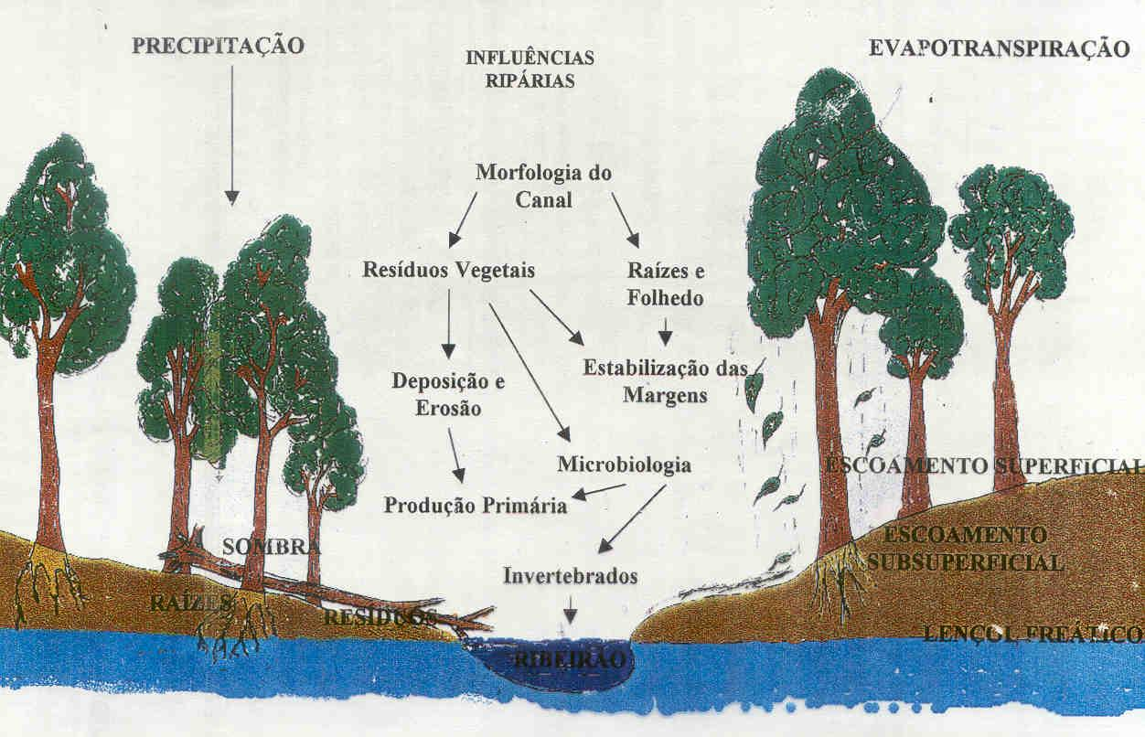 ESQUEMA CONCEITUAL DE UMA ÁREA