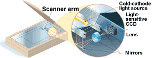 Os scanners no padrão CCD são maiores, mais pesados, mais sensíveis, e os de padrão CIS são mais finos, leves e poucos elementos móveis.