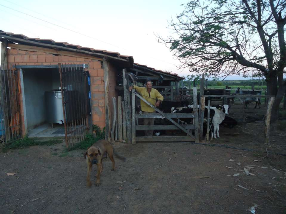 O cenário parece sombrio para o pequeno, mas o que