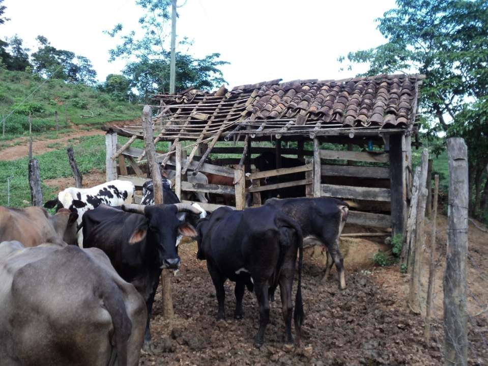 O pequeno tem complexo de inferioridade por ser pobre e apresentar pouca eficiência, trabalhando fora da