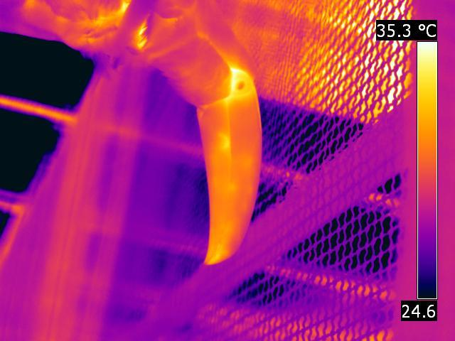 Termorregulação Penas servem de isolante Ventilação dos