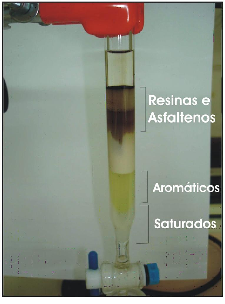 31 Figura 8: Cromatografia líquida em coluna de sílica/alumina. 3.1.5 Cromatografia Gasosa Na cromatografia gasosa é feita a caracterização da fração de hidrocarbonetos saturados anteriormente separada na cromatografia líquida.