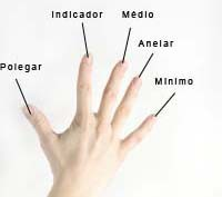 Forma de usar as mãos no teclado Os dedos da mão direita e esquerda são contados a partir do polegar.
