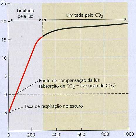 Diferenças entre plantas C3, C4 e CAM Característica Plantas C 3 Plantas C 4 Plantas CAM Produção de MS (ton. ha -1.