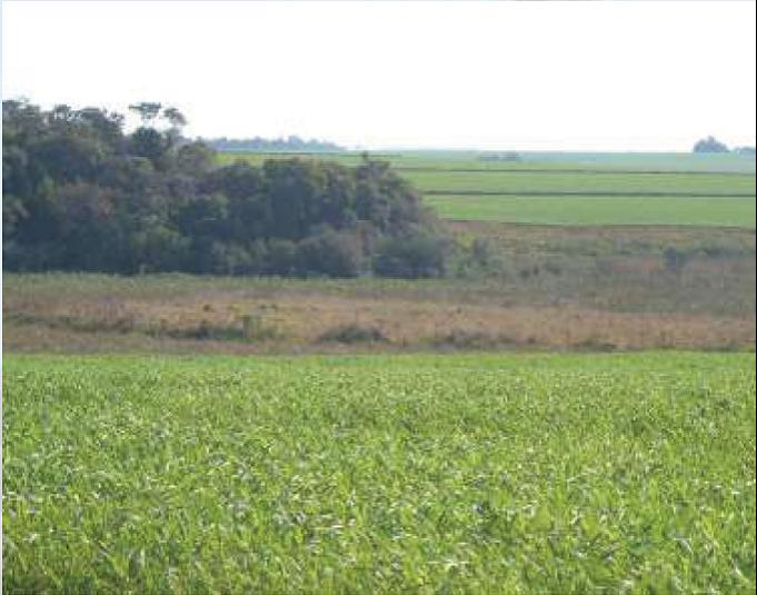 Uso para Irrigação Itapuã - Paraguai Fonte: Kettelhut,