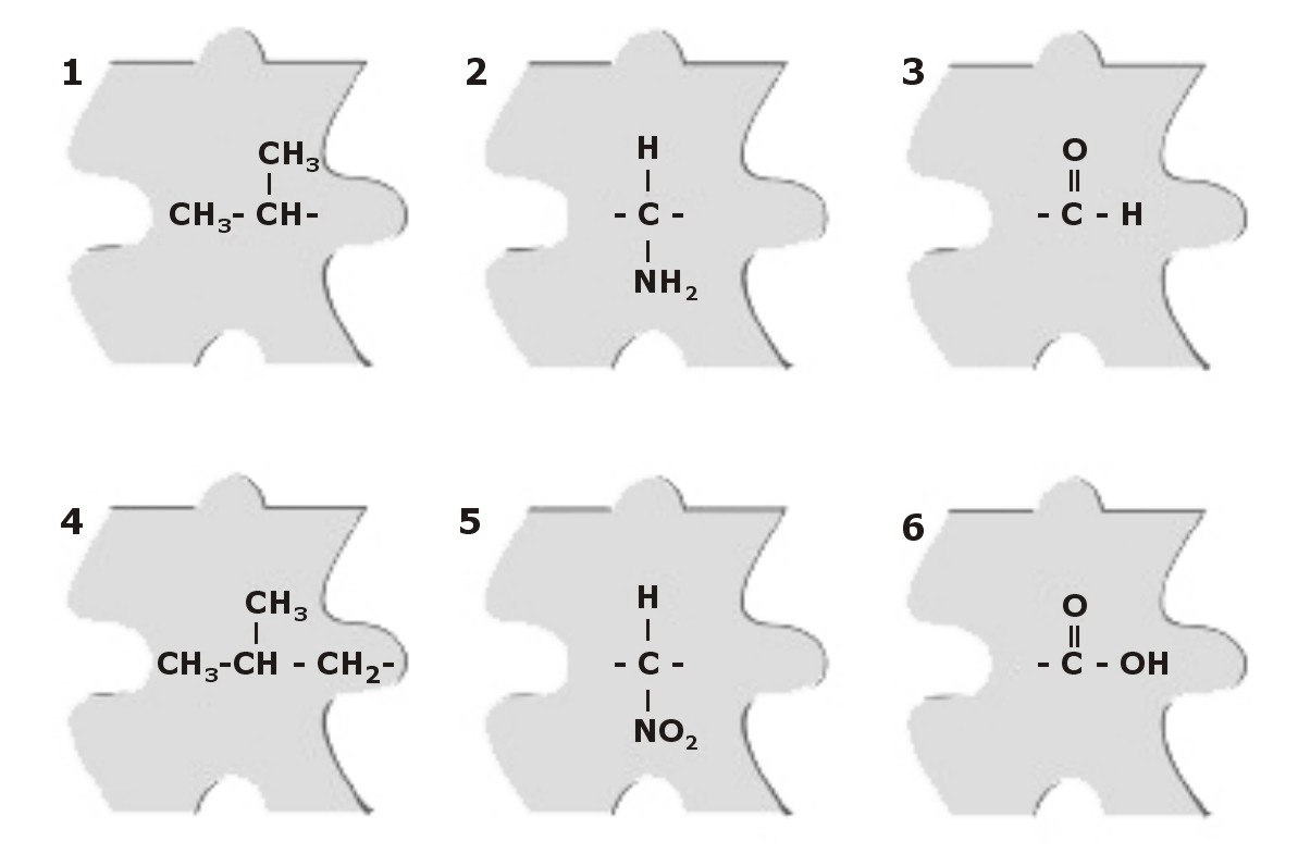 O colesterol é um componente constante em lipídios do grupo: (A) dos triglicerídeos. (B) da lecitina e da mielina. (C) das ceras. (D) dos lipídios complexos nitrogenados. (E) dos esteróides.