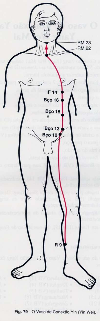 APLICAÇÕES e MANIFESTAÇÕES CLÍNICAS: YIN WEI MAI: Vaso de conexão Yin Tem a função de conectar todos os canais Yin do corpo; Controlar o Interior do Corpo (Sangue e Yin); Nutrir o Coração; Nutrir