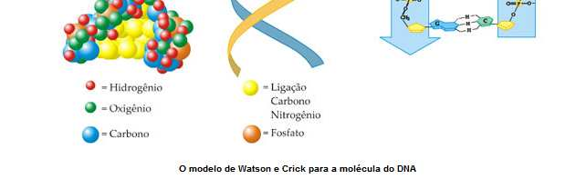 1 atm e 298 K E intermolecular = -1 a -10 cal/mol 40 atm e 398 K E intermolecular = -40 a -400 cal/mol Portanto, como em líquidos e sólidos as moléculas estão muito mais