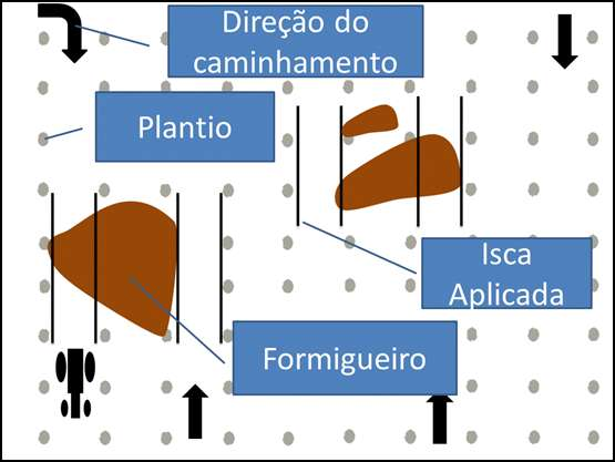 Aplicação localizada Exemplo de