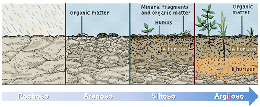 Dinâmica de água no solo: características do solo Capacidade de campo: capacidade de retenção de água