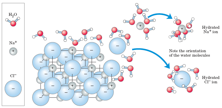 Características da água: 3) Solvente forte para solutos iônicos/polares Adaptado: Lehninger, A.L., Nelson, D.