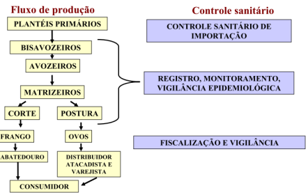 Plano de ação em caso de suspeita Plano de ação em caso de confirmação Todas as aves, ovos, produtos avícolas (cama, ração) eliminação.