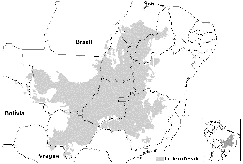 IDENTIFICAÇÃO DE ÁREAS DESMATADAS ATRAVÉS DE SEGMENTAÇÃO E CLASSIFICAÇÃO DE IMAGENS DO MODELO LINEAR DE MISTURA ESPECTRAL APLICADO A DADOS DO SENSOR LANDSAT 5/TM, NO MUNICÍPIO DE SAPEZAL-MT.