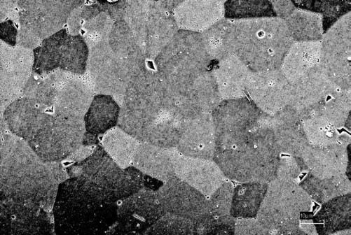 Observa-se a presença de grãos de AlN (regiões claras) caracterizado por estrutura hexagonal e grãos de fases intergranulares (regiões mais escuras) caracterizado por plaquetas.